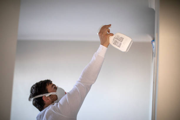 Best Residential Mold Removal  in Paw Paw, MI