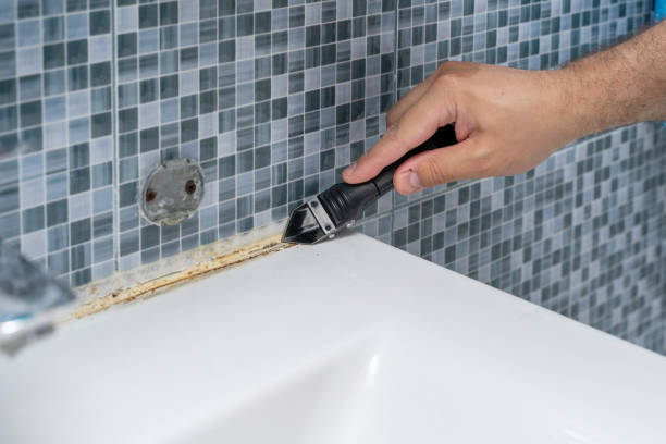 Best Affordable Mold Removal  in Paw Paw, MI