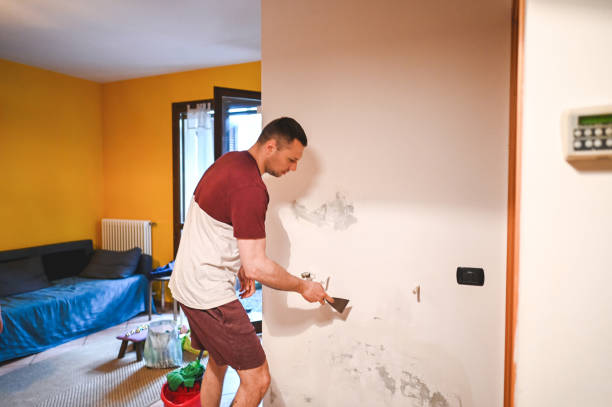 Best Commercial Mold Removal  in Paw Paw, MI